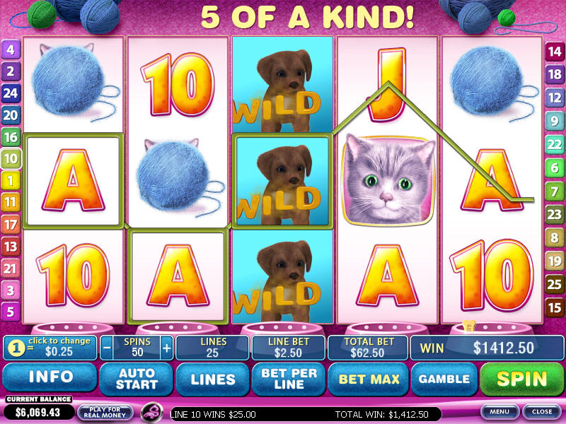 Play Cute and Fluffy Playtech Video Slots